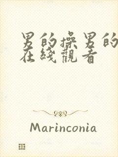 男的操男的视频在线观看封面