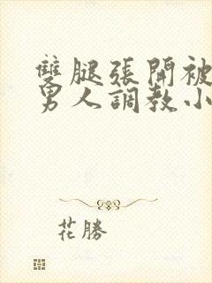 双腿张开被9个男人调教小说高h封面