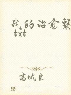 我的治愈系游戏 txt