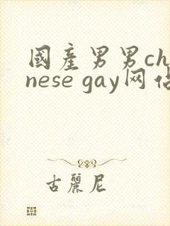 国产男男chinese gay网站