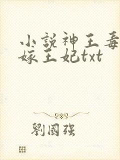 小说神王毒宠二嫁王妃txt