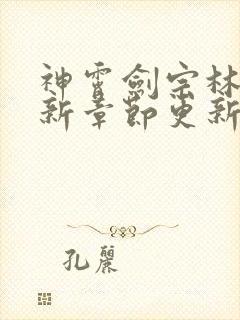 神霄剑宗林枫最新章节更新