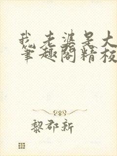 我老婆是大明星笔趣阁精校