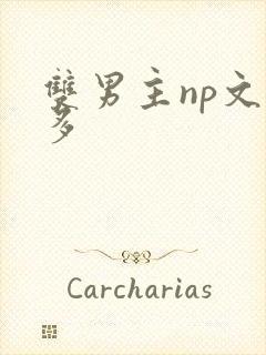 双男主np文肉多