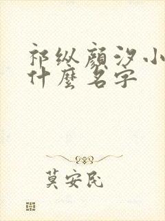 祁纵颜汐小说叫什么名字封面