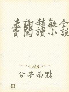 老谢赵敏全文免费阅读小说封面