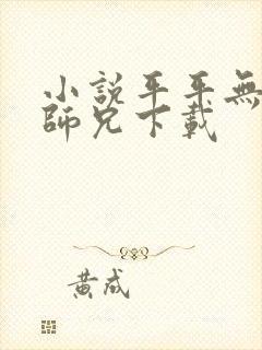 小说平平无奇大师兄下载