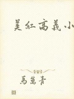 美红高义小说