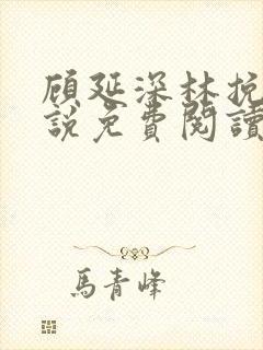 顾延深林挽音小说免费阅读最新章节封面