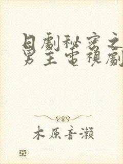 日剧秘密之吻双男主电视剧在线观看封面