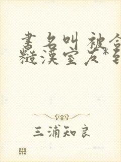 书名叫 被合租糙汉室友*到哭