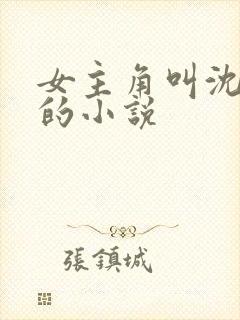 女主角叫沈青岚的小说