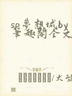sp梦想城by笔趣阁全文在线阅读封面