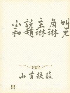 小说主角叫陈凡和赵琳琳免费阅读