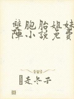 双胞胎姐妹齐上阵小说免费阅读