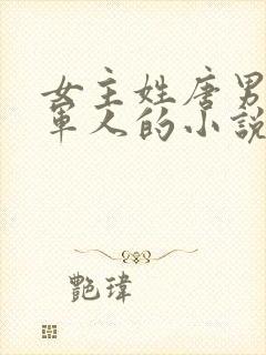 女主姓唐男主是军人的小说