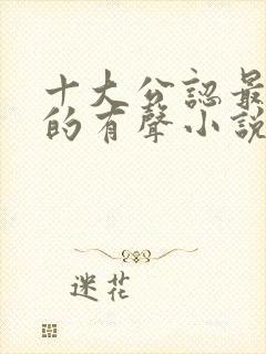 十大公认最好听的有声小说