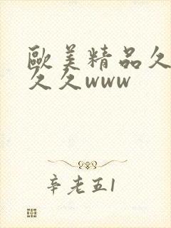 欧美精品久久久久久www