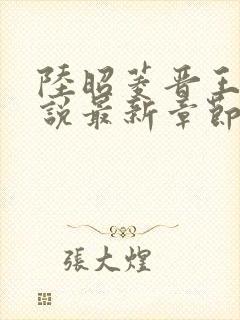 陆昭菱晋王的小说最新章节