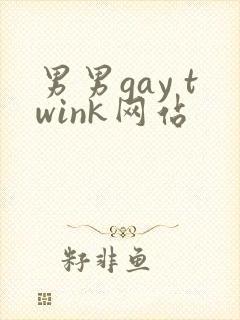 男男gay twink网站