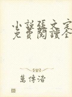 小说张文定徐莹免费阅读全文