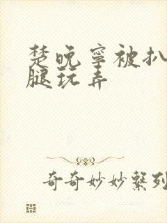 楚晚宁被扒开双腿玩弄