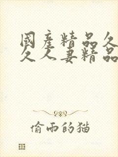 国产精品久久久久人妻精品