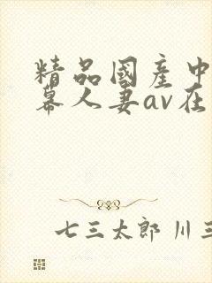 精品国产中文字幕人妻av在线