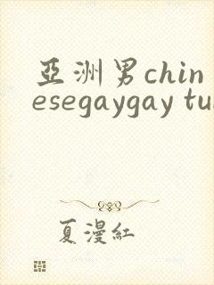 亚洲男chinesegaygay tube