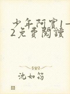 少年阿宾1—72免费阅读