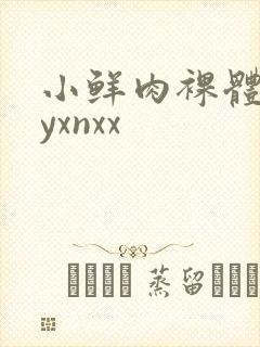 小鲜肉裸体gayxnxx