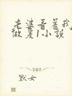 老婆看着我和岳做爰1小说