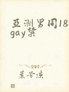 亚洲男同18 gay禁