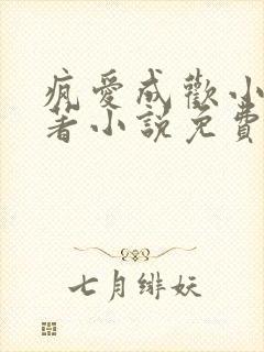 疯爱成欢小说原著小说免费阅读封面