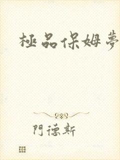 极品保姆梦梦封面