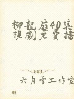 柳龙庭40集电视剧免费播放