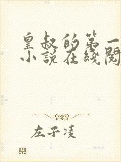 皇叔的第一宠妃小说在线阅读