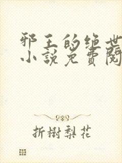 邪王的绝世毒妃小说免费阅读