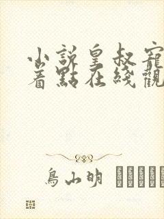 小说皇叔宠妃悠着点在线观看