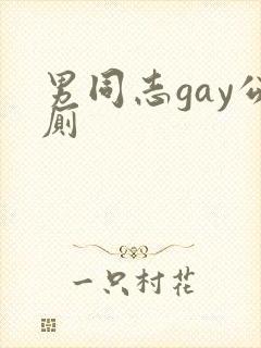 男同志gay公厕