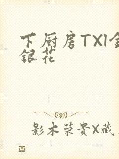 下厨房TXl金银花