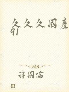 久久久国产成人91