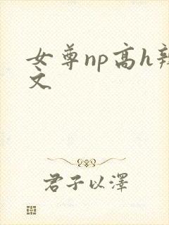 女尊np高h辣文