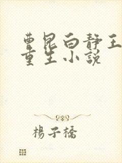 曹昆白静王珊珊重生小说