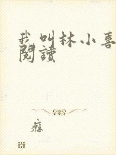 我叫林小喜全文阅读