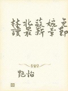 林北苏婉免费阅读最新章节笔趣阁