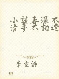小说春深不归客清梦不相逢