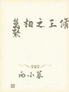 万相之王修炼体系封面