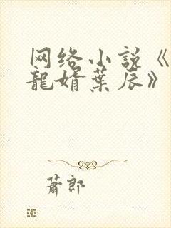 网络小说《上门龙婿叶辰》