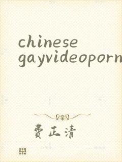 chinesegayvideoporn